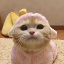 เอสเธอร์ สุปรีย์ลีลา avatar