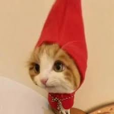 ทริสตอง โด avatar